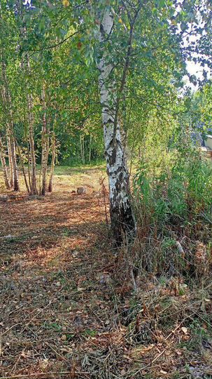 Участок 20 сот. (ИЖС)