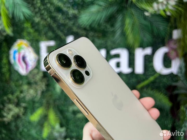 iPhone 13 Pro Max 256Gb