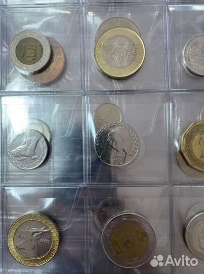 Старые деньги