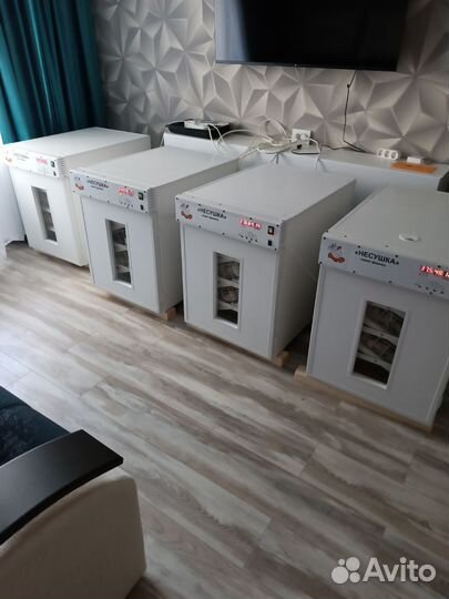 Инкубатор для яиц автоматический промышленный