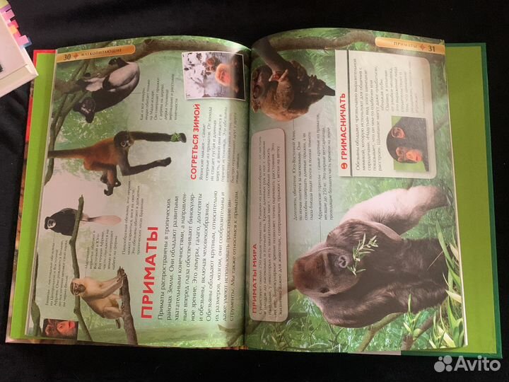 Детская энциклопедия млекопитающие