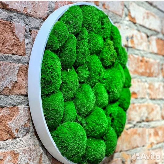 Круг со мхом из мха фитокартина панно