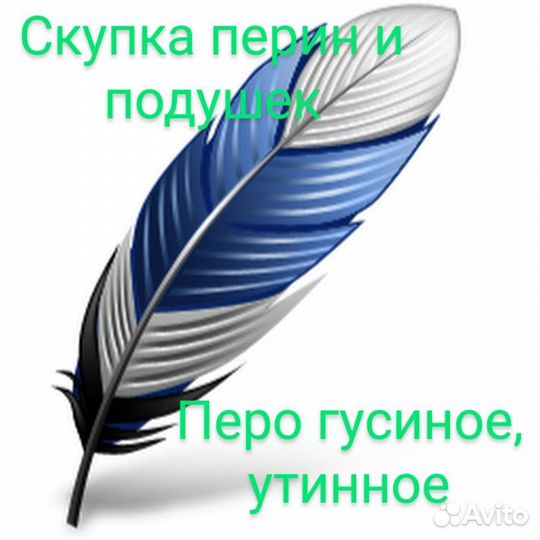 Скупка подушек, перин и пера