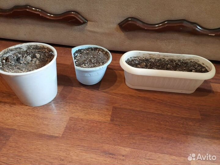 Горшки для цветов