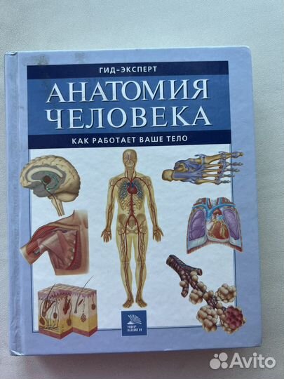 Атлас по анатомии