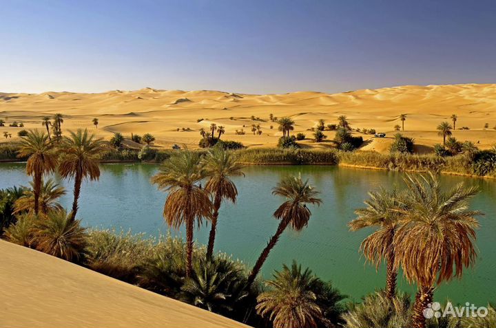 Турпутевка в Egypt 6 дн