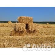 Сенов кипах