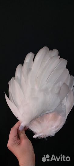 Пошив сценических костюмов