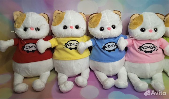 Кот Басик и кошечка Лили