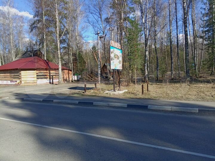 Участок 46,9 сот. (СНТ, ДНП)