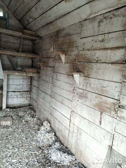 Голубятня продажа