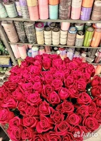 Высокие Розы с Доставкой