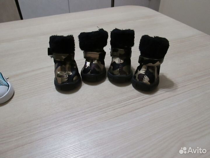 Обувь для маленьких собак