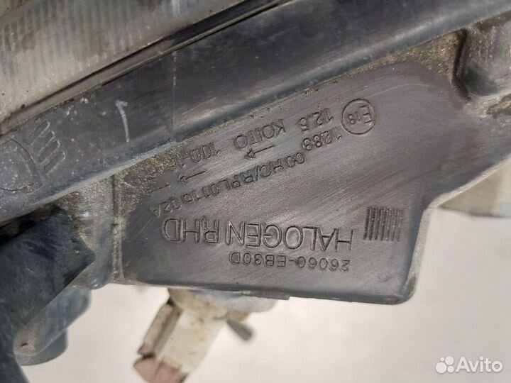 Фара (передняя) Nissan Navara, 2008