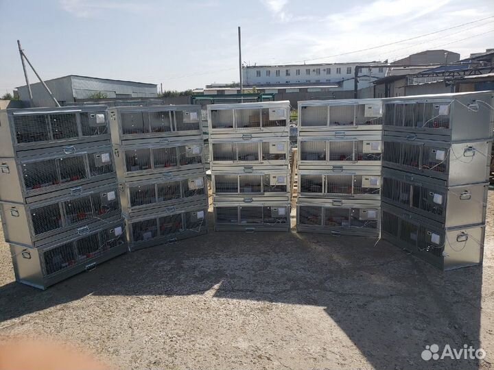 Брудер для цыплят профессионал оцинкованный