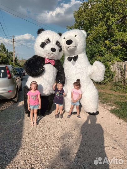 Поздравление от Белого Медведя и весёлой Панды