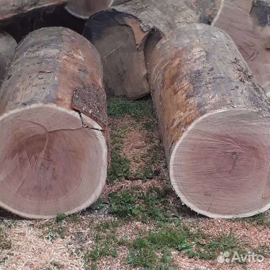 Дубовая бочка 25л