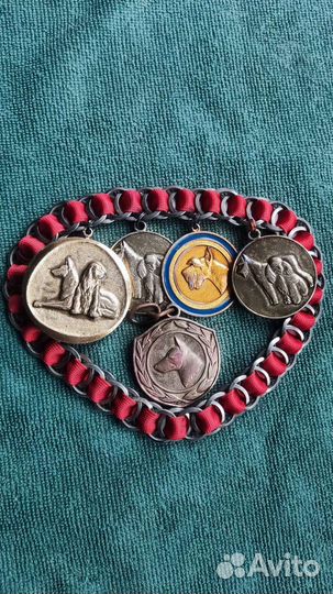 Собачьи медали