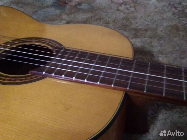 Классическая гитара из гдр, Musima