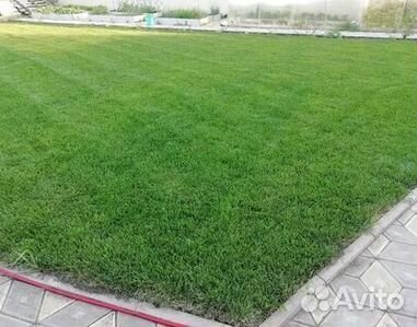 Гидропосев