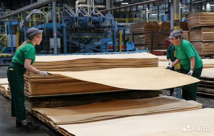 Укладчик фанеры вахтой в Новгородскую область