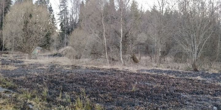 Участок 9 сот. (ИЖС)