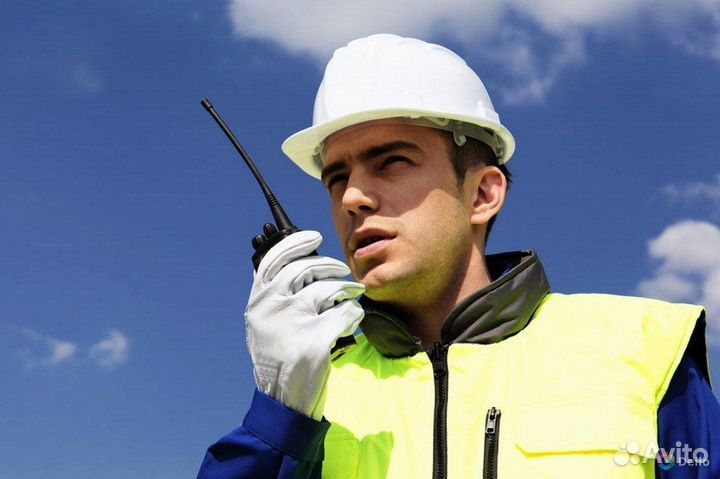 Тальман в порт