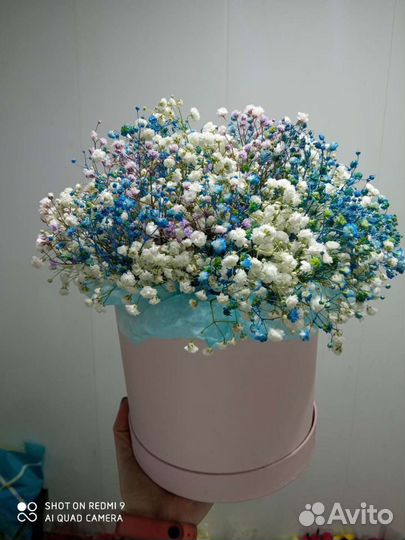 Композиции из гипсофилы