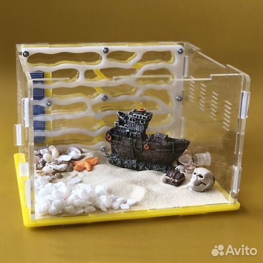 Муравьиная ферма