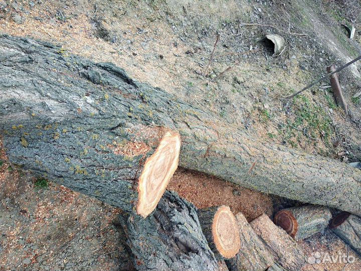 Дрова для шашлыка