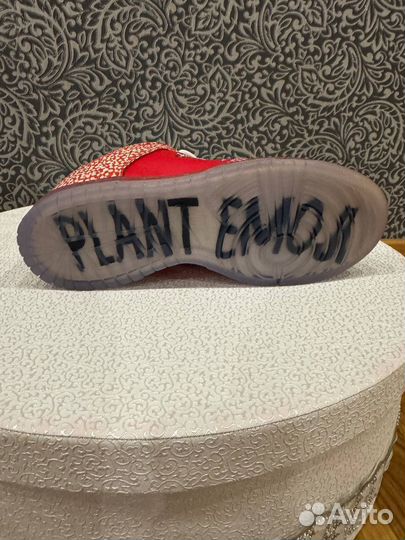 Nike sb dunk low stingwater magic mashroom