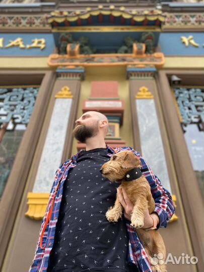 Экскурсовод москва