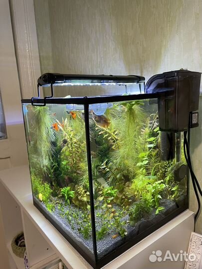 Аквариум кубик 25л