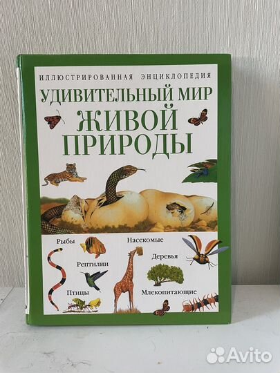 Детские развивающие книги