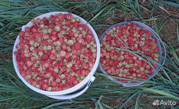 Варенье: Малиновое