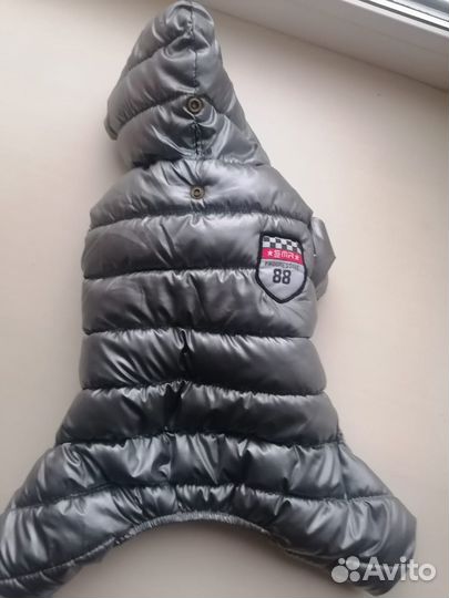 Одежда для средних собак