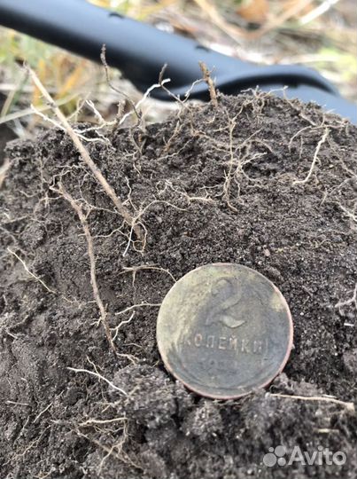 2 копейки 1924