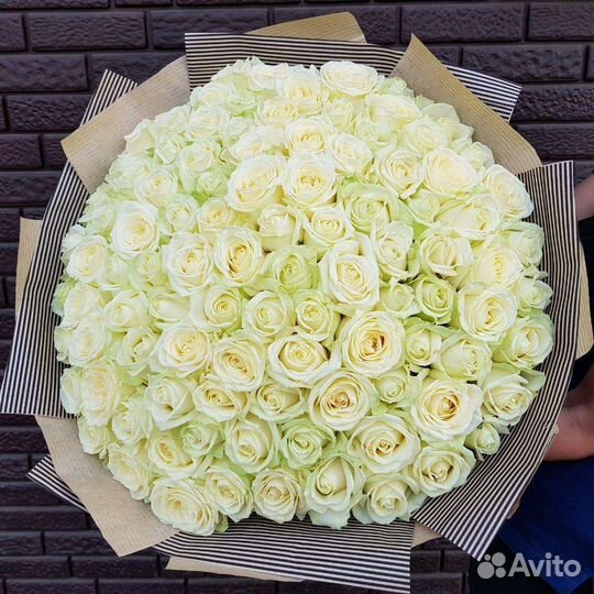 101 роза Доставка Букеты 101 Роза Цветы