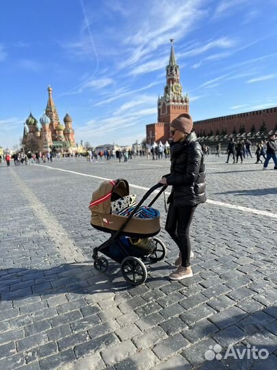 Коляска люлька Karolina Cybex Priam