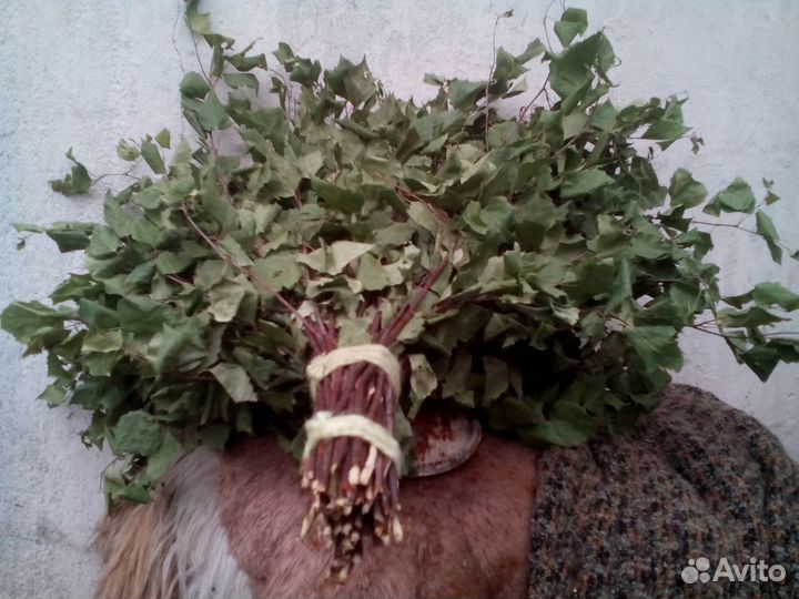 Веники для бани березовые и дубовые