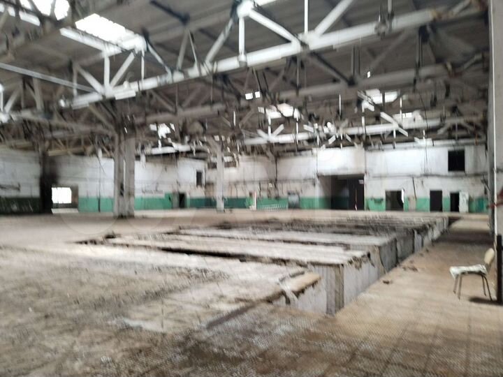 Свободного назначения, 1446 м²