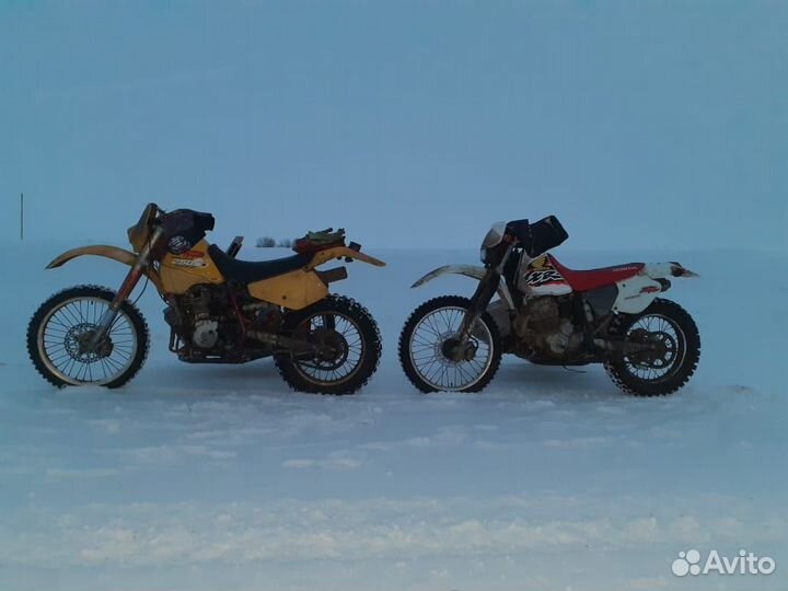 Suzuki DR 250