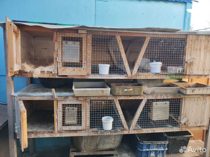 Клетка для кролика