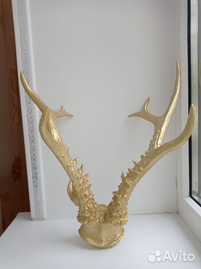 Оленьи рога настоящие