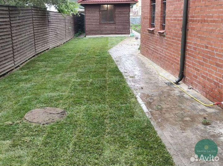 Отличный газон под ключ