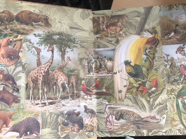 Книга А. Брем Жизнь животных Лимитированное