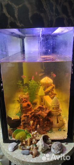 Аквариум