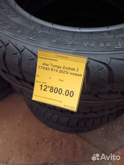 Bridgestone Blizzak DM-V1 195/65 R15