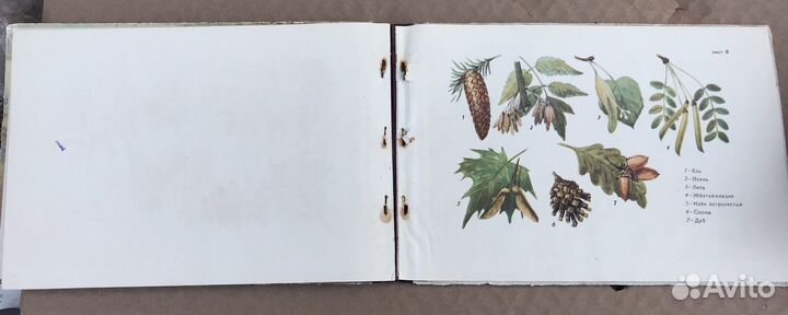 Календарь природы на 1956 год