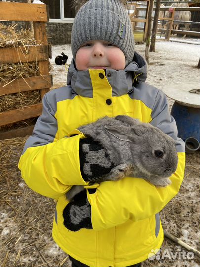 Пуховик для мальчика 146